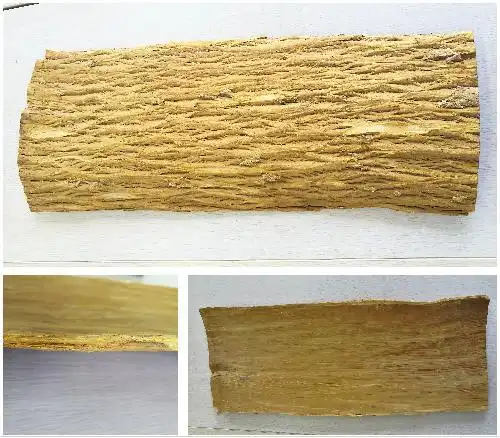 黄柏与关黄柏误区——( 转载至 中医药博物馆 )