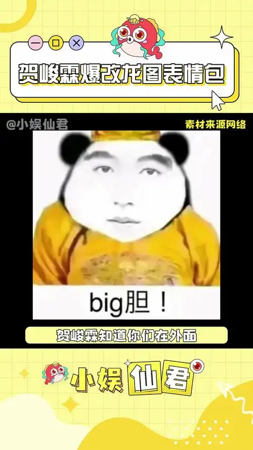 贺峻霖实用型爱豆 贺峻霖 龙图表情包 万万没想到