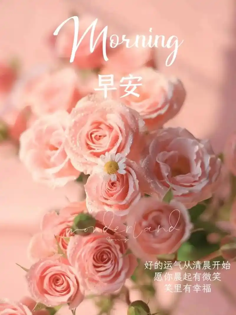 早安|小众高级文案|朋友圈.