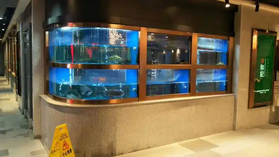 南通酒店饭店海鲜鱼缸定制超市海鲜池方缸爬行缸展示柜酒店养鱼池