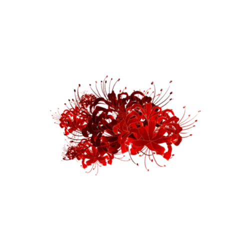 温乐の免扣素材古风彼岸花曼珠沙华