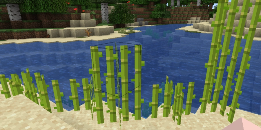 我的世界中的一些甘蔗.