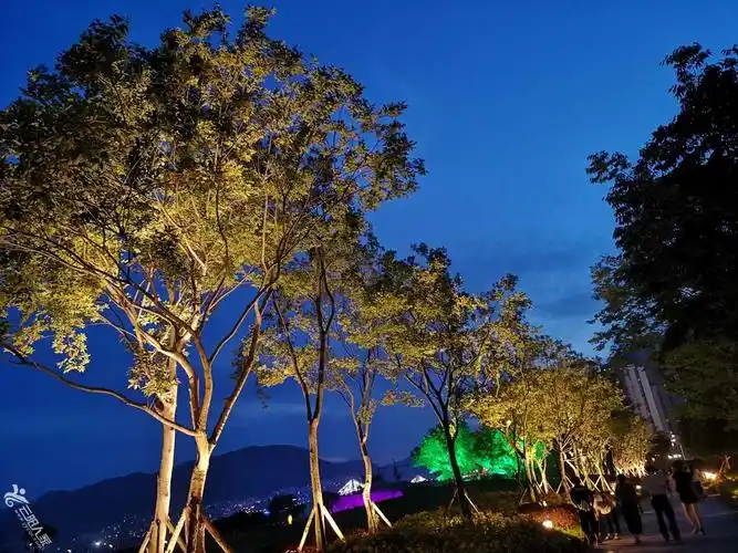 夜晚的月光草坪