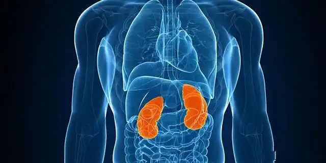 男人的肾好不好全写脸上了看看这4个表现你中了吗