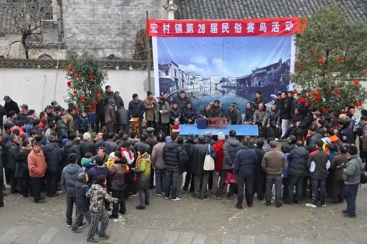 宏村斗鸟-中国徽文化摄影作品征集活动投稿区-大众摄影网
