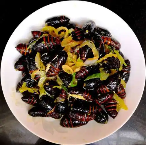 用心做美食 用爱去生活(七)