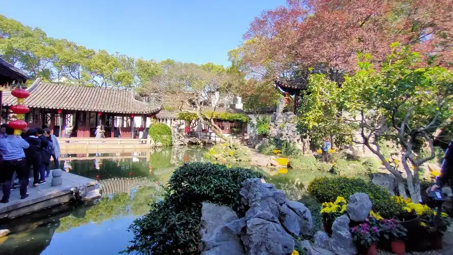 苏州同里退思园_2020.10.31手机随拍