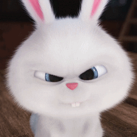 《爱宠大机密》67676767小白兔子动图_爱宠大机密_小白_兔子