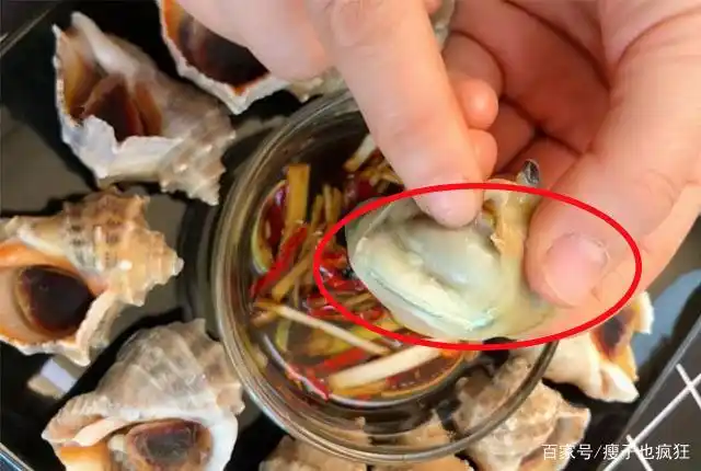 吃海螺时,千万要留意这几个部位,很多人都分不清,还傻傻吃得香
