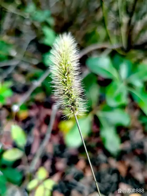 老百姓都喜欢围绕自己工作生活的需要,将一些有重大意