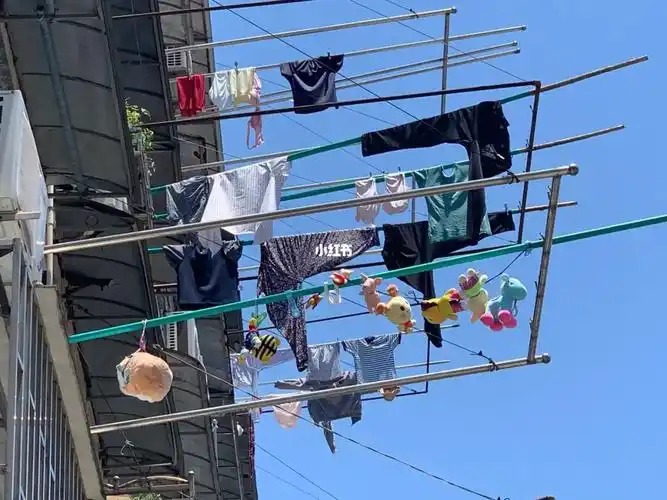 原来上海人都是这么晒衣服的