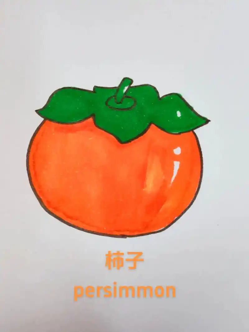 柿子简笔画.后附详细教程#简笔画 #一学就会系列 #育儿简笔 - 抖音