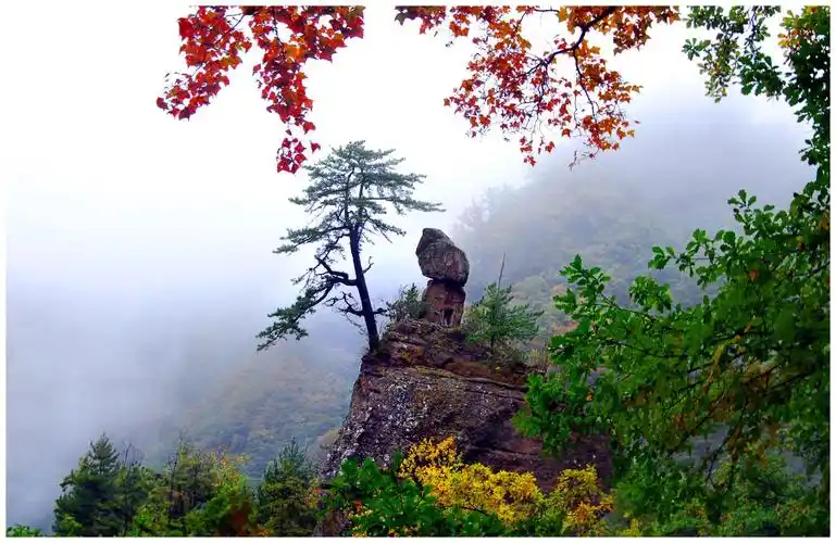 甘肃华亭:景色宜人满目新 文旅融合风帆劲_中国农科新闻网