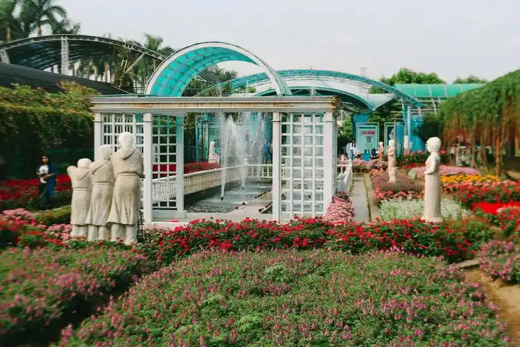 广州百万葵园看鲜花的好地方周末还愁没地方去吗