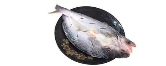 凌波鱼是什么鱼