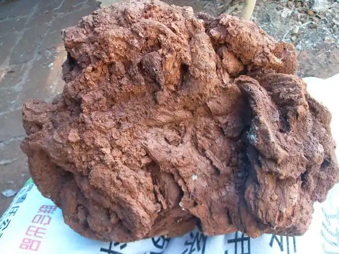 长白山大块火山石30.40.50.60厘米可批发招代理