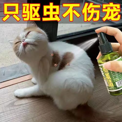 牛身上的虫牛虱子除蜱虫猪牛羊驱虫药体外专用蚊蝇杀虫剂喷雾兽用