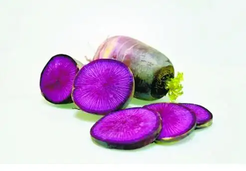 紫色萝卜与白萝卜区别