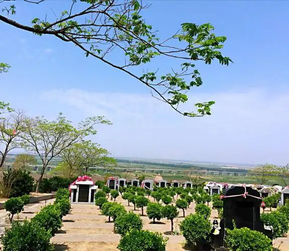 邙山陵墓(小军父子墓地)