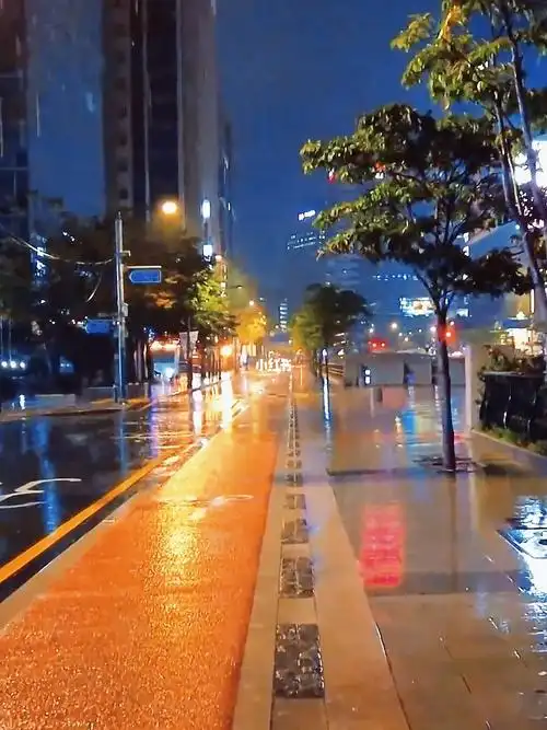 城市街道雨天夜景