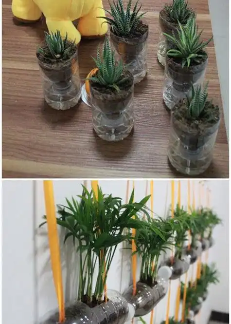 如何用矿泉水瓶做花瓶,矿泉水瓶做花瓶手工简易好看