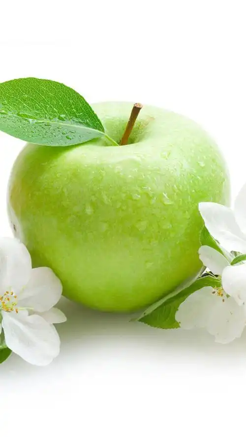 > || 更新时间:2018-05-08 颜色分 绿色 关键词:  青苹果 水果