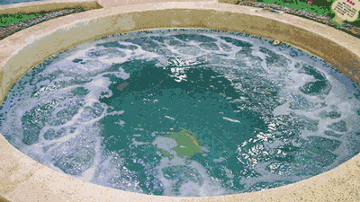 市区竟有这么大的室内水上乐园!超多好玩项目还自带自助餐厅!