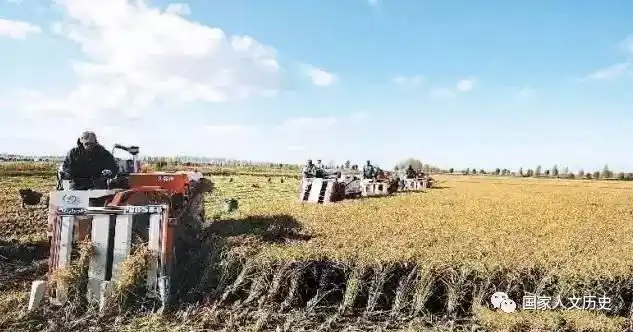 曾经的"北大荒"变成了如今的"北大仓"