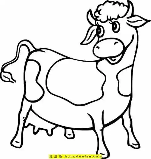 11张哞哞叫的小牛卡通涂色简笔画孩子们最喜欢的农场动物
