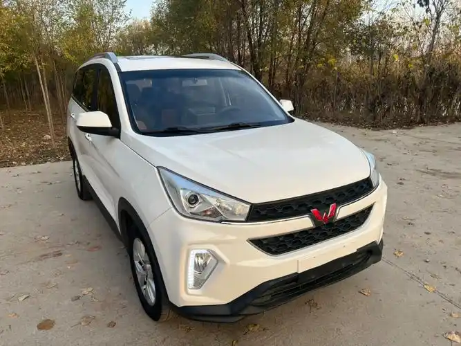 【临汾二手车】2017年11月_二手五菱 五菱宏光s3 2018款 1.