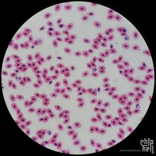 奥林巴斯olympuscx23生物显微镜开箱已经更新效果图