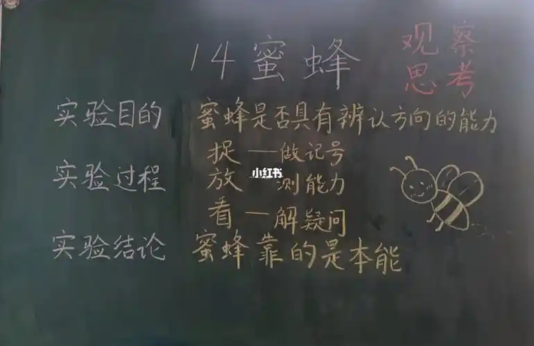 三年级下册《蜜蜂》板书设计