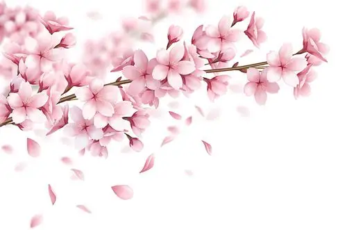 逼真漂亮的樱花矢量素材