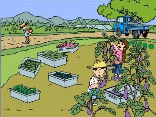 春天的菜园简笔画春天的菜园简笔画怎么画