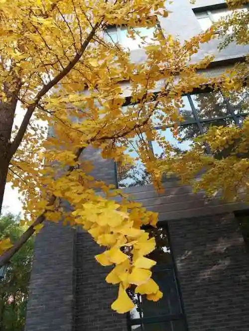 北京工商大学(良乡校区)