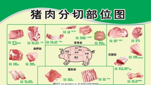猪肉部位分割图
