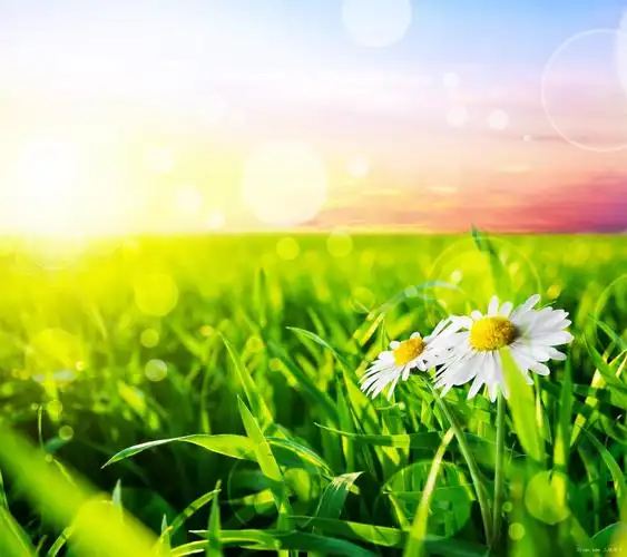 关于考研英语复习资料选择的建议