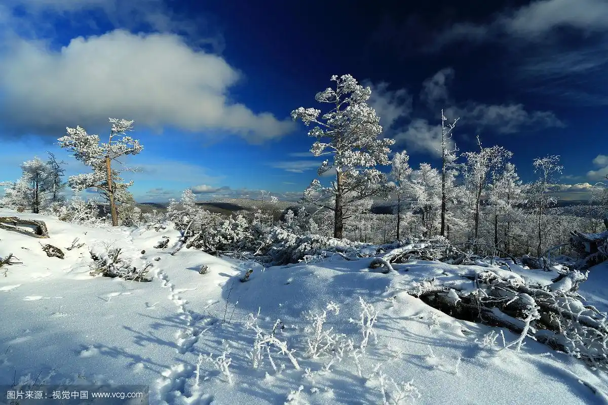 大兴安岭原始森林银色冬景