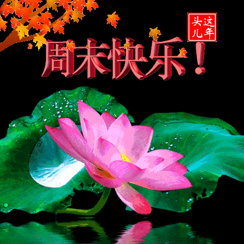 周末愉快短句暖心句子漂亮周日早晨祝福图片早上好问候句子