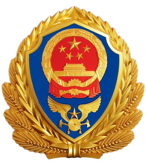 海南省110名新消防员集体授衔!_救援_训练保障_中国消防