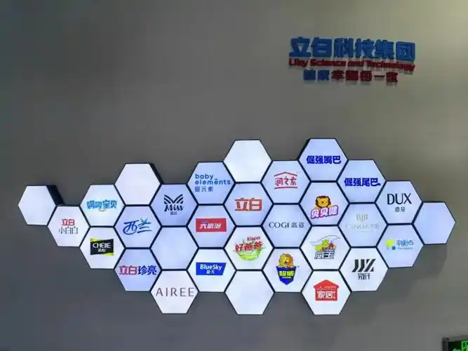 事情需更长远,"要更加关注未来的事情,怎样才能让立白成为百年企业,而