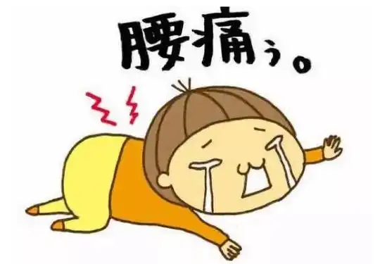 请善待我们的"大先生"!-爱妻自媒体