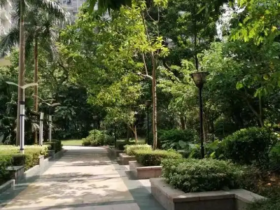 【多图】华南西苑,平湖租房,华南西苑2房2厅出租,全齐家私家电,地铁口