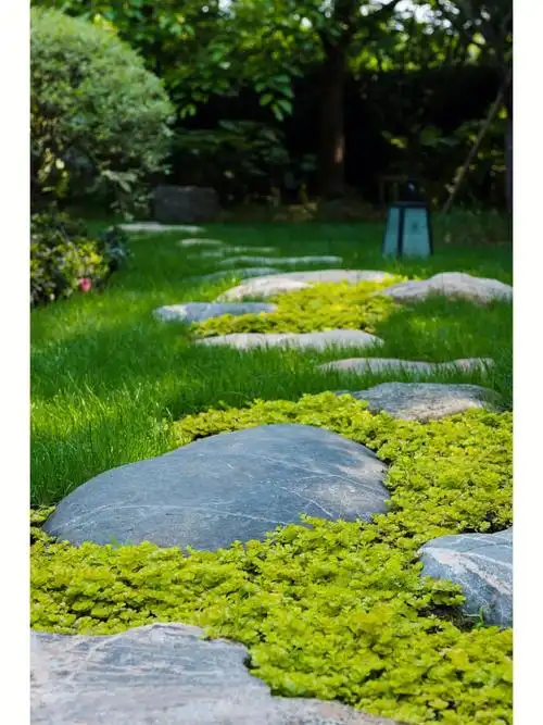 汀步属于步石的一种类型,设置在水上,在浅水中按一定间距布设块石,微