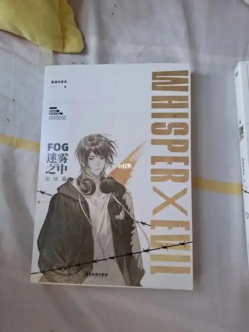fog小说实体书
