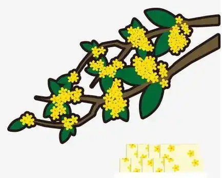 桂花简笔画 桂花简笔画图片