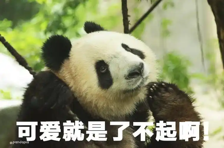 版权声明本公众号的原创内容(包括图片,文字,视频,产品形象等),著作权