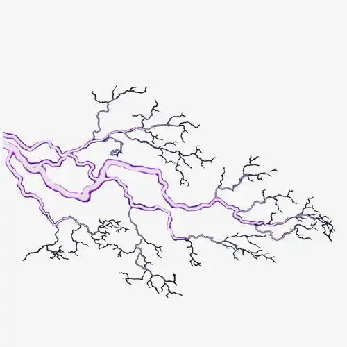 关键词 : 雷电,纹路,紫色