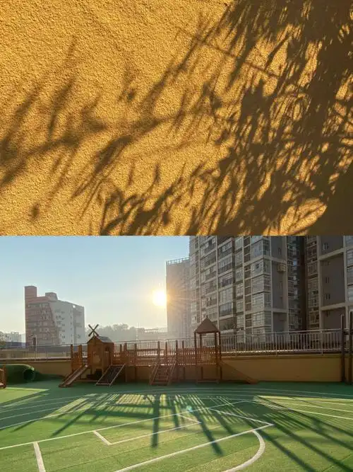 早上做早操的时候,李老师悄悄拍下了阳光下的影子