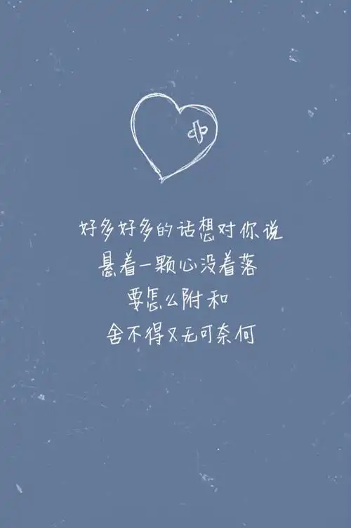 张惠妹《如果你也听说》歌词壁纸